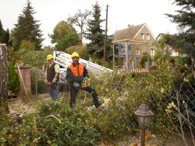 Aufräumarbeiten nach Baumfällung mit Hilfe einer Arbeitsbühne